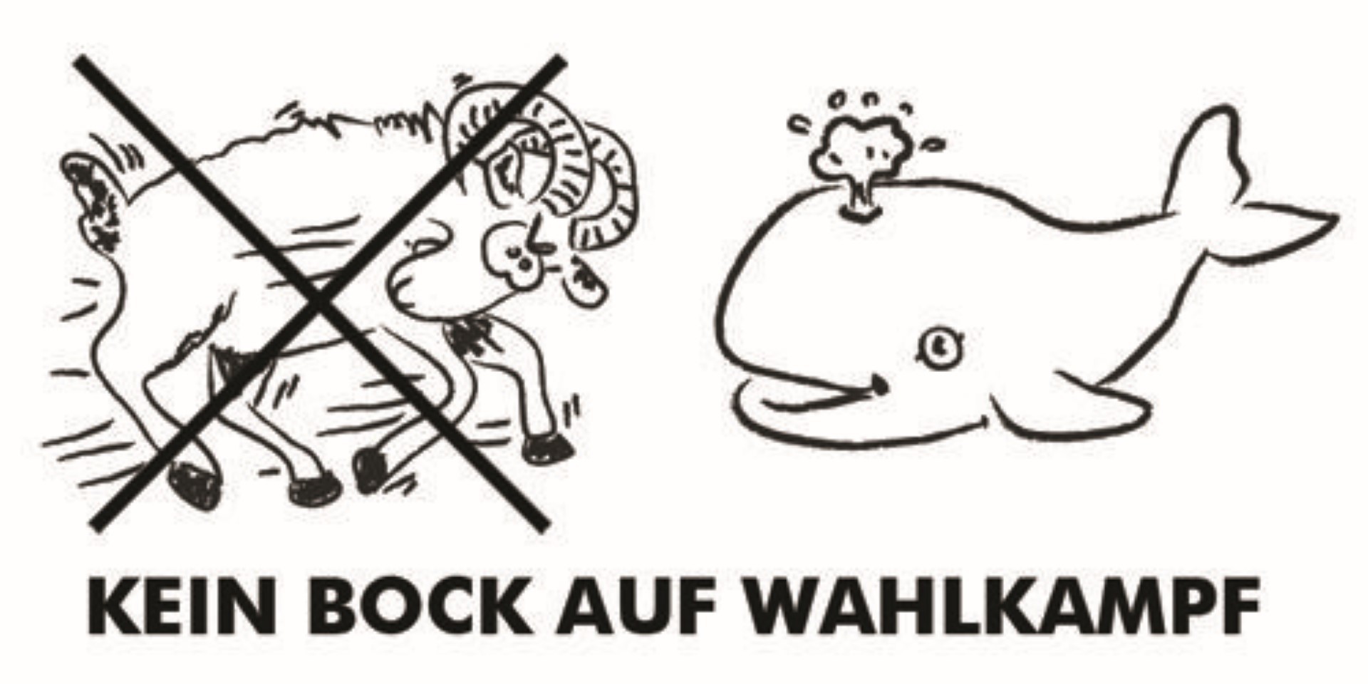 Wahlkampf leicht erklärt