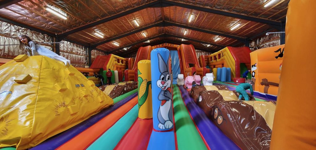 Ausflüge mit Familie in Galway turoe pet farm