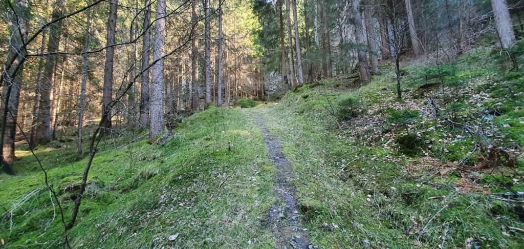 chopfwald grüsch