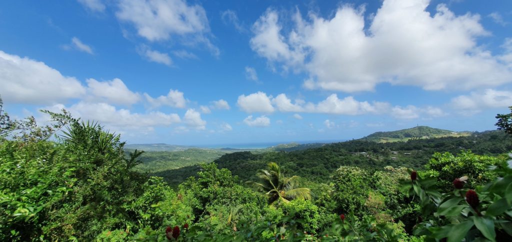 Botanische Gärten auf Barbados Flower Forest