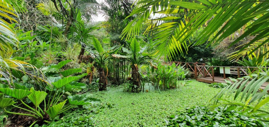 Andromeda Gardens Barbados